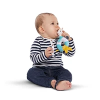 RATTLE SHAKE AND CHEW