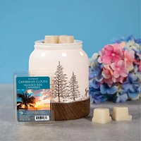 ScentSationals, Scented Wax Cubes - Caribbean Clouds