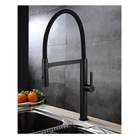 akuaplus® CLARA 1-Handle Magnetic Kitchen Faucet.