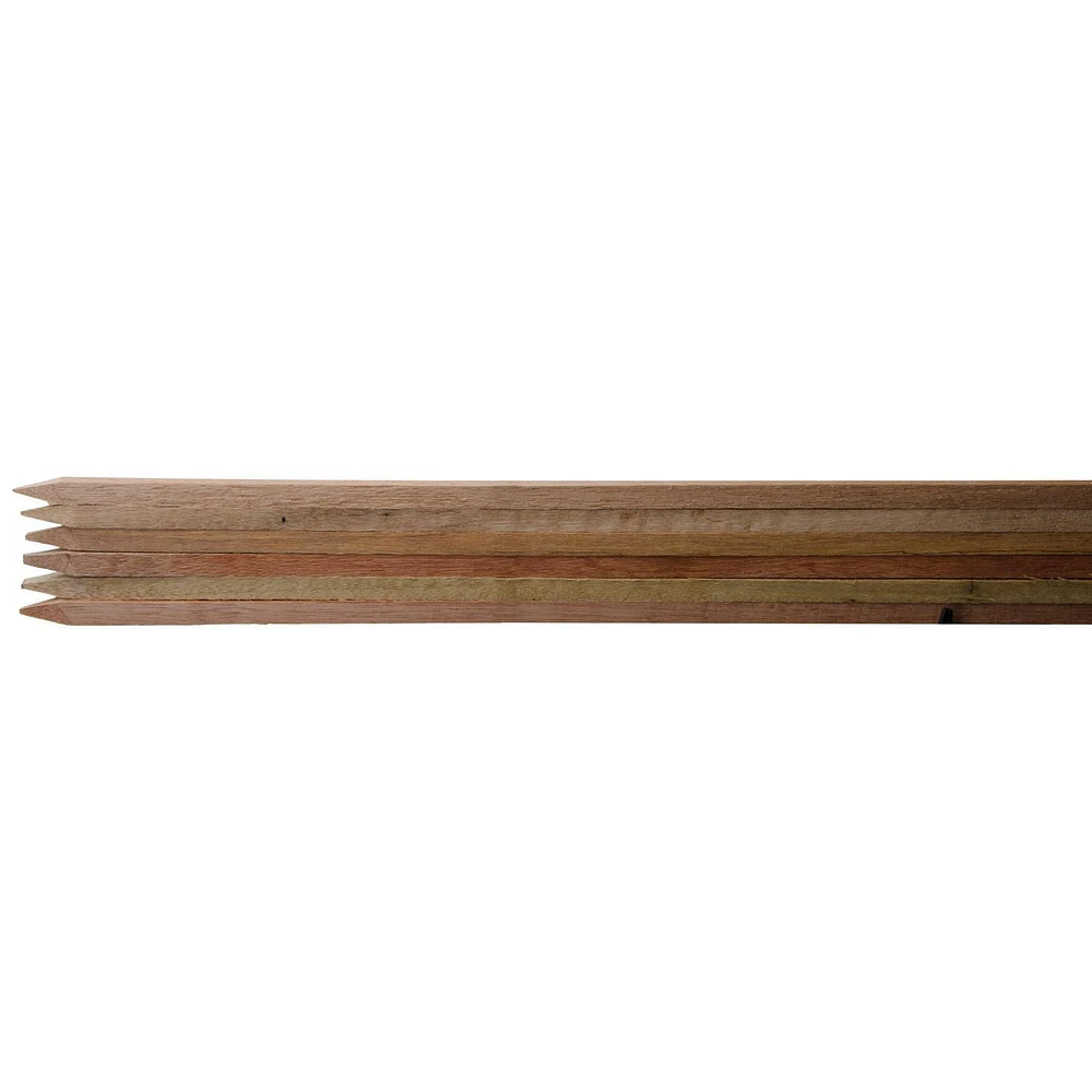 6 pack of 3' Hardwood Stakes