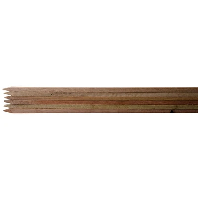 6 pack of 3' Hardwood Stakes