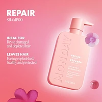 MONDAY Haircare Shampooing réparateur à la kératine, à l'huile d'argan et au beurre de cacao 354mL Pour les cheveux secs, abîmés et épuisés 354 ml Avec Kératine