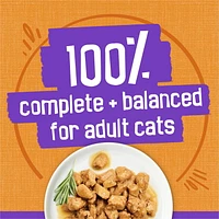 Friskies Chunks Chicken Dinner in Gravy, Wet Cat Food 156g, 156 g