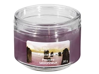 MAINSTAYS PURPLE SANDS 10OZ SCENTED JAR, 10oz / 283 grams