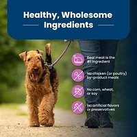 BLUE Life Protection Formula recette agneau et riz brun pour chiens adultes de race de grande taille 9,9kg