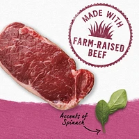 Beyond Recette de Boeuf Élevé dans une Ferme et d'Épinards, Nourriture Humide pour Chiens 354 g 7"x13"