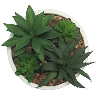 hometrends Agosta Faux Succulents in White Pot