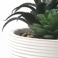 hometrends Agosta Faux Succulents in White Pot