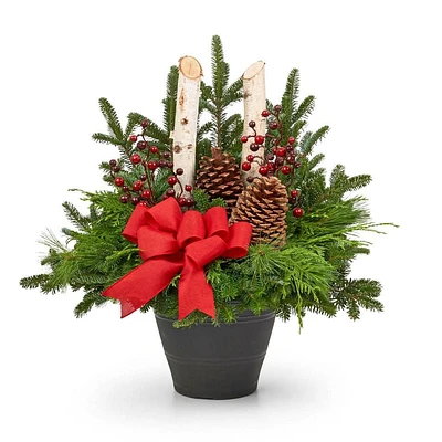 Winter Garden Christmas Holiday Arrangement