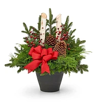 Winter Garden Christmas Holiday Arrangement