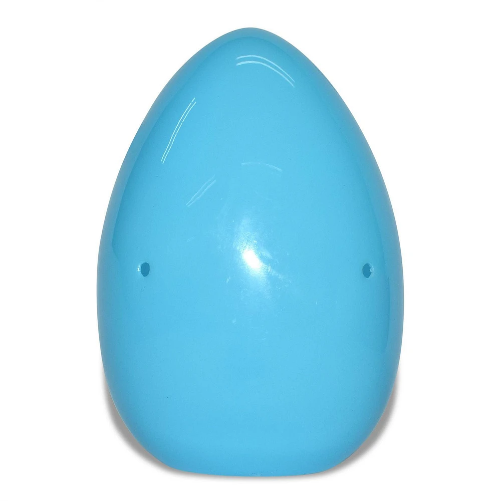 Large Egg Container