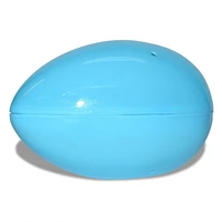 Large Egg Container