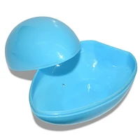 Large Egg Container