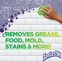Fantastik® Disinfectant with Bleach All Purpose Cleaner, 946mL