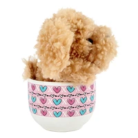 Way To Celebrate Valentine’s Day Plush Toy in Soup Mug, Puppy