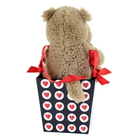 Way to Celebrate Valentine’s Day  Plush Toy In Gift Box, Hippo