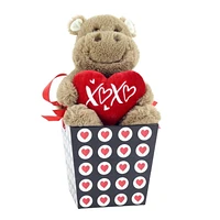 Way to Celebrate Valentine’s Day  Plush Toy In Gift Box, Hippo