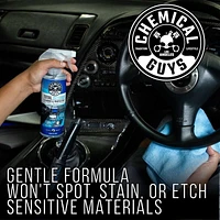 Chemical Guys Total Interior Cleaner & Protectant 16 Fl. Oz., Interior Cleaner & Protectant