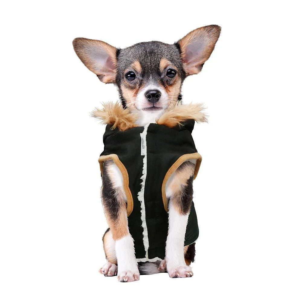 Holiday Time Vêtements pour chiens : Veste à capuche pour l'automne et l'hiver, noir avec fausses boutons, taille XS-XL Accès intégré pour une laisse au