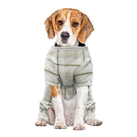 Way to Celebrate Dog Clothes: Fleece Pajama for Dogs, Ivory Plaid with Reindeer Glitter Screenprint, Size XS-XL