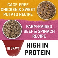 Beyond in Gravy Variety Pack Beef, Chicken, Wet Dog Food 6 x 354 g, 6 x 354 g