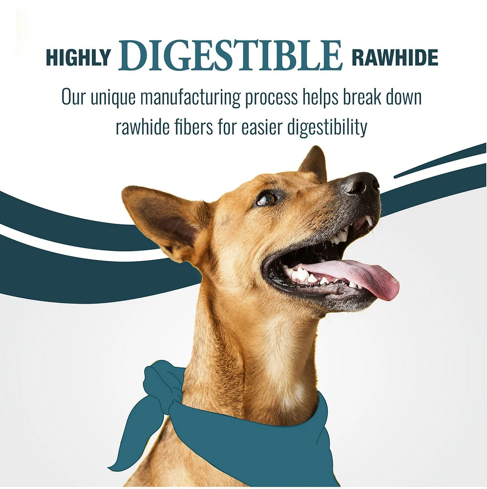 Good 'n' Fit Rawhide Dental Long Lasting Dog Chew and Dog Treat, Digest 2x faster 6ct Small