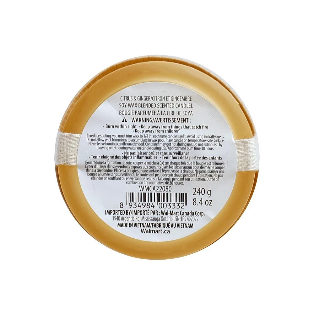 Botanical Light 8.4OZ Citrus & Ginger Soy Wax Blended Scented Candle,1 cotton wick, · 8.4oz<br>· 240g<br>· 1 pack