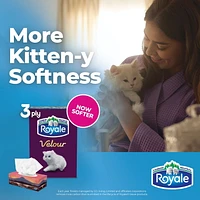 Royale Velour Facial Tissue, 1 Flat Boxes, 154 Tissues per box, 3-Ply, 154 Tissues