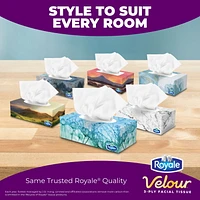 Royale Velour Facial Tissue, 1 Flat Boxes, 154 Tissues per box, 3-Ply, 154 Tissues