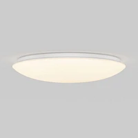 Empress LED Ceiling Light, LED Ceiling Light