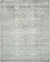 Safavieh Evoke Denica Traditional Area Rug