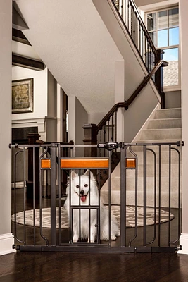 Carlson Pet Products Extra Wide Walk-Thru Gate