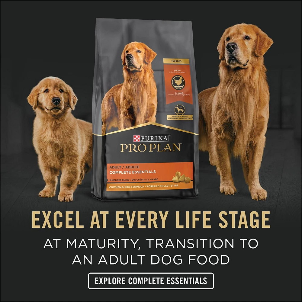 Purina Pro Plan Development Puppy Chicken & Rice Entrée Classic, Wet Puppy Food 368 g