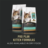 Purina Pro Plan Développement Entrée de Saumon et Poisson de Mer, Nourriture Humide pour Chatons 85 g