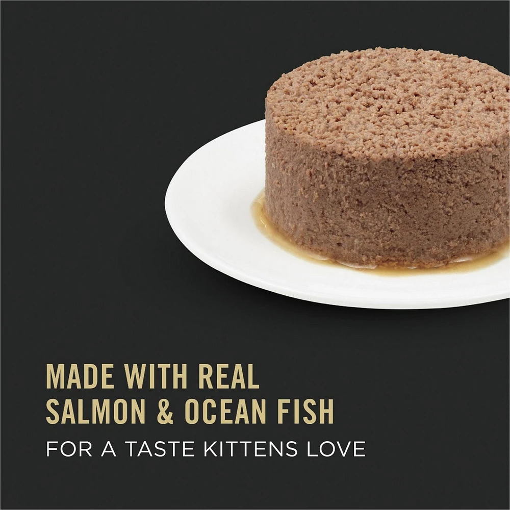 Purina Pro Plan Développement Entrée de Saumon et Poisson de Mer, Nourriture Humide pour Chatons 85 g