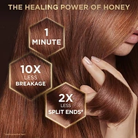Garnier Whole Blends Honey Treasures Masque pour Cheveux Abîmés, 1 minute d'application, 340ml Masque pour cheveux abîmés