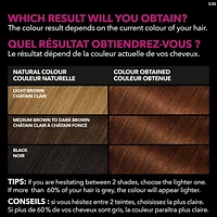 Garnier Olia No Ammonia and Oil Powered Permanent Hair Dye, 5.35 Chocolate Brown, 1 Application, Permanent colour. No ammonia.