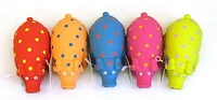 Vibrant Life Pigglesworth Latex Dog Toy, Dog Chew Toy