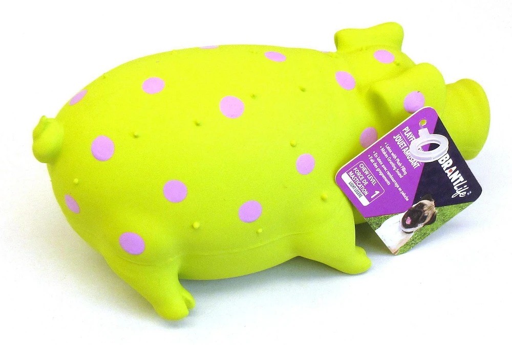 Vibrant Life Pigglesworth Latex Dog Toy, Dog Chew Toy