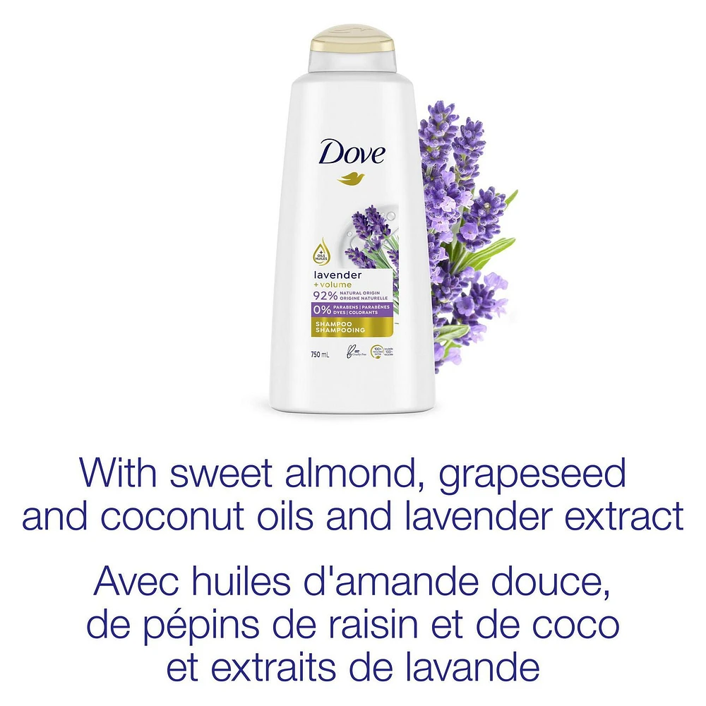 Shampooing Dove Lavande + Volume 750 ml Shampooing