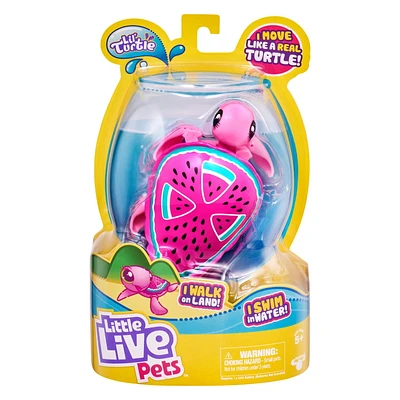 Little Live Pets Lil' Turtle Single Pack - Pippy Drops