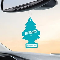 LITTLE TREES air freshener Rainforest Mist 3-Pack