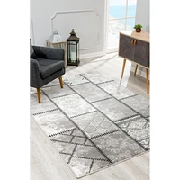 Tapis d'intérieur abstrait moderne avec montage de branches de tapis