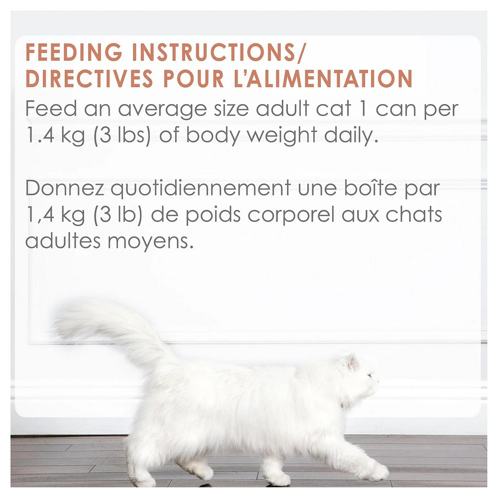 Fancy Feast Medleys Saumon Sauvage à la Florentine, Nourriture Humide pour Chats 85 g 85 g