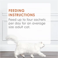 Fancy Feast Savoury Puree Naturals with Natural Salmon & Tuna in a Demi-Glace, Cat Treats 40 g, 40 g