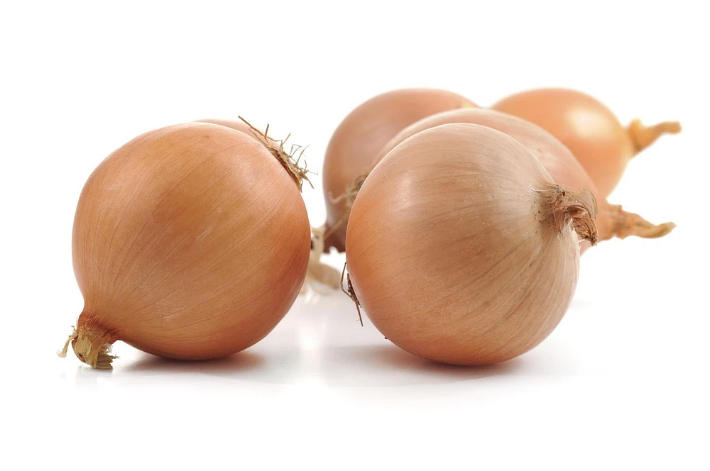 Onion, yellow