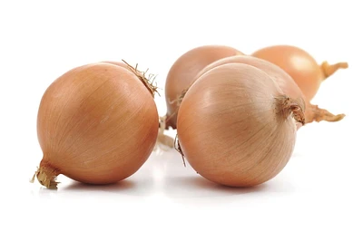 Onion, yellow