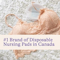 Lansinoh Stay Dry Disposable Nursing Pads, 60 Count, Soft and Super Absorbent