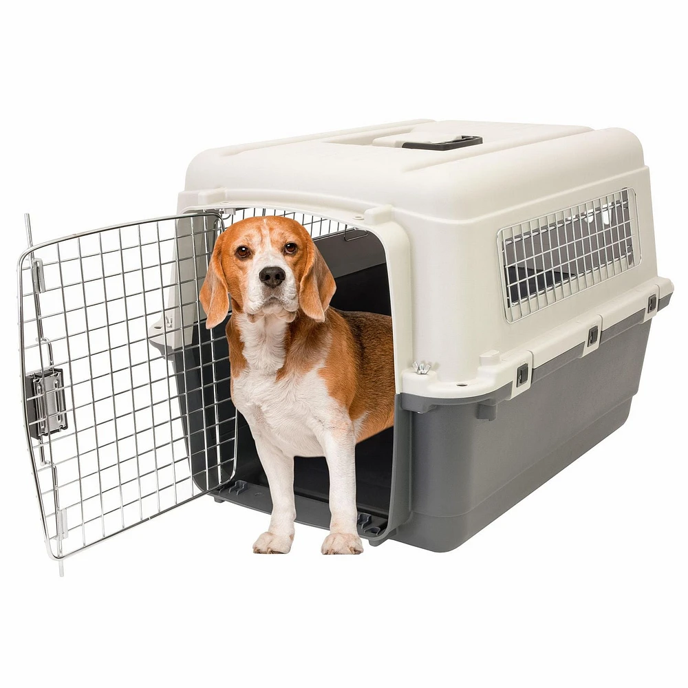 SportPet 27 Inch Durable Plastic Dog Kennel, 27IN PLASTIC KENNEL