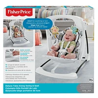 Fisher-Price Deluxe Take-Along Swing & Seat - Falling Leaves